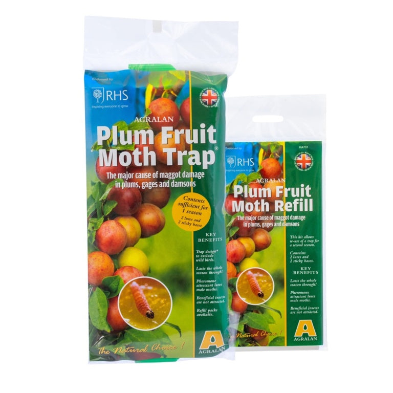 Plum Fruit Moth Trap - Protects up to 3 trees