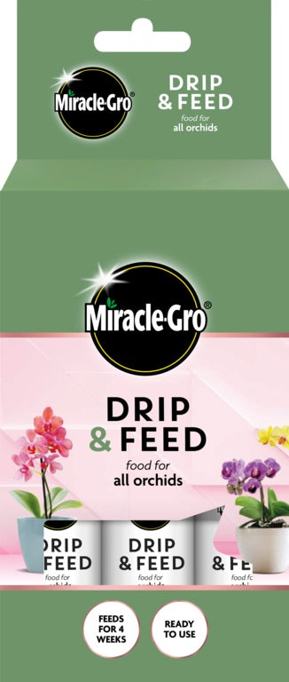 Drip & Feed Orchid - Pack 3
