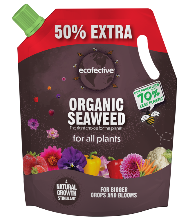 Organic Seaweed - 1.2L