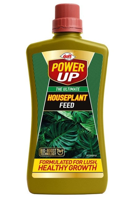 The Ultimate Houseplant Feed