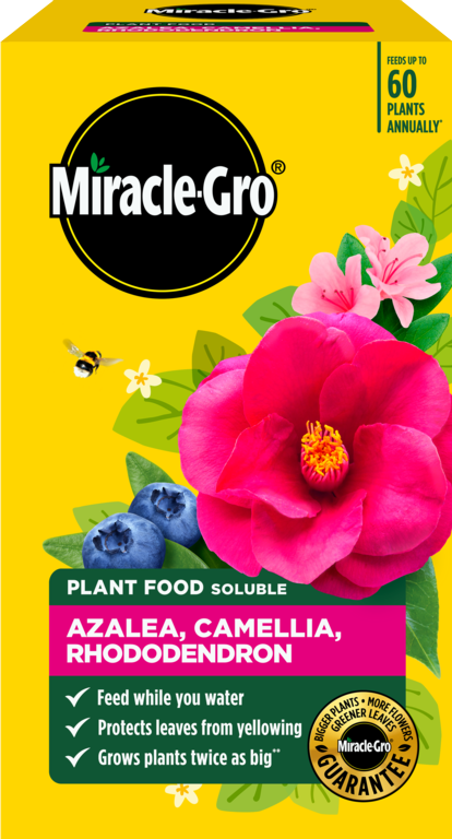 Azalea, Camellia & Rhododendron Soluble Plant Food - 1kg