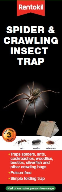 Spider & Crawling Insect Trap - 3 Pack