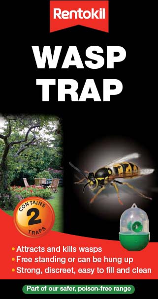 Wasp Trap - Twin Pack