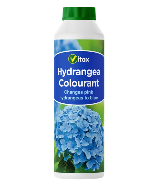 Hydrangea Colourant - 500g