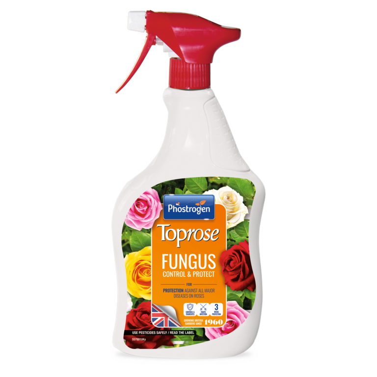 Fungus Control & Protect - 1L