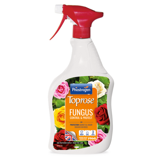 Fungus Control & Protect - 1L