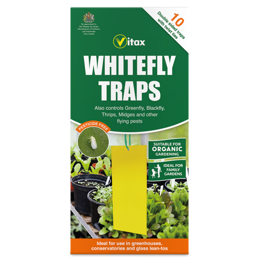 Whitefly Traps - 113g