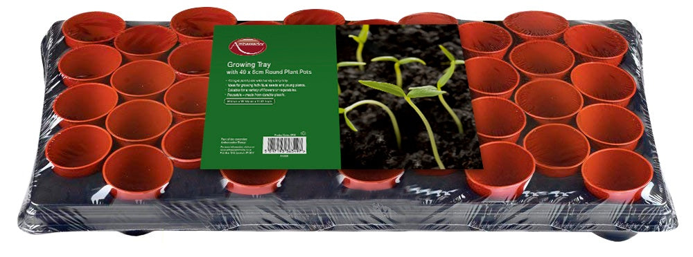Growing Tray - 18 x 9cm Square Pots