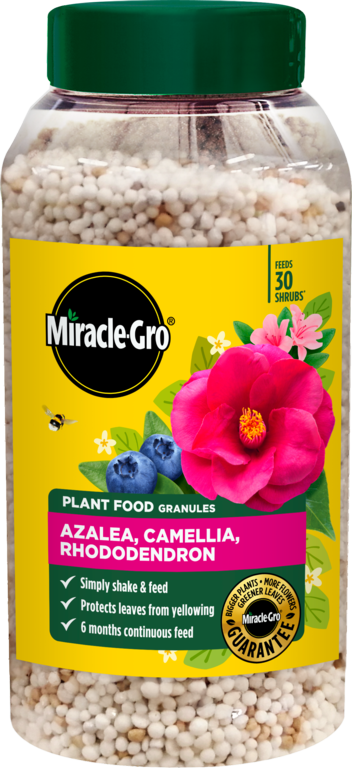 Azalea, Camellia & Rhododendron Continuous Release Plant Food - 900g