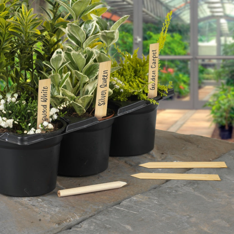 Bamboo Plant Labels & Pencil 10 Piece - 6"