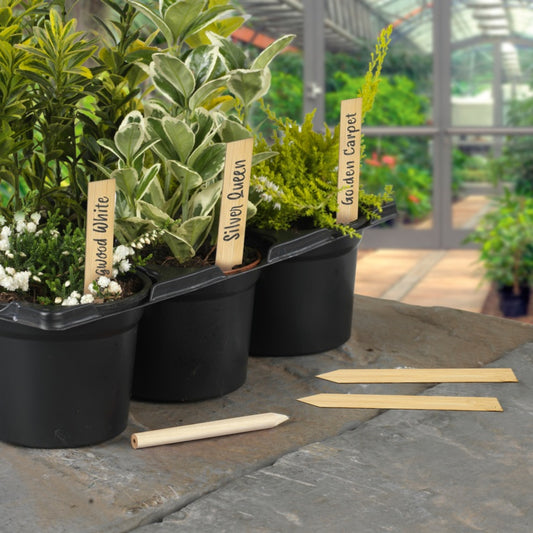 Bamboo Plant Labels & Pencil 10 Piece - 6"