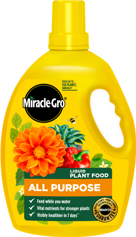 All Purpose Concentrate - 2.5L