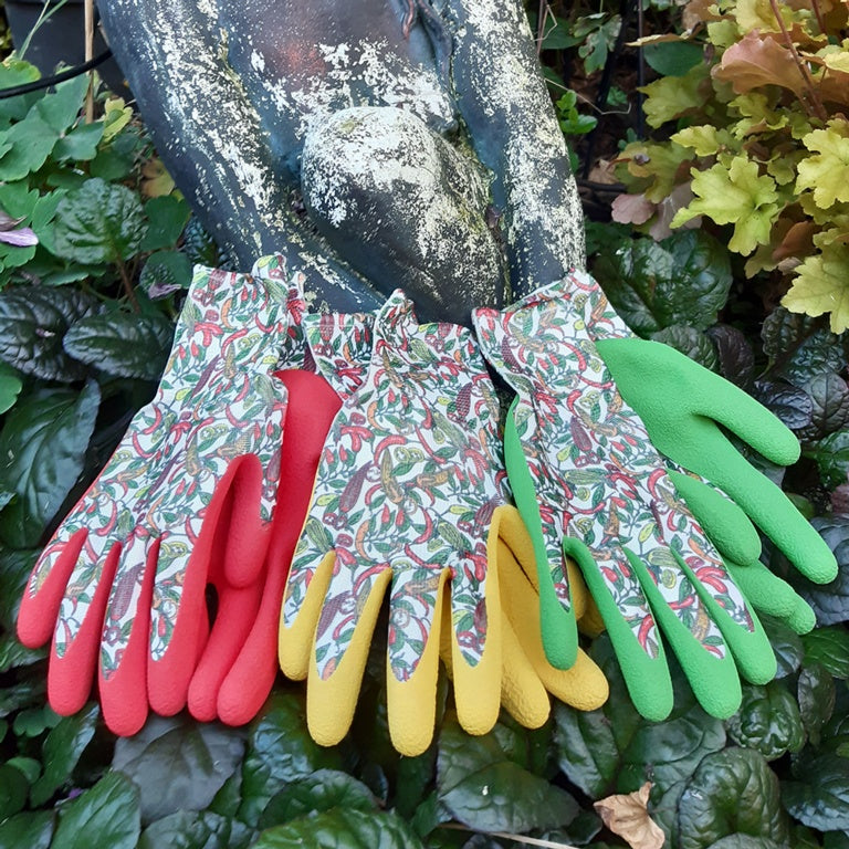 Ladies Chilli Gloves - Triple Pack